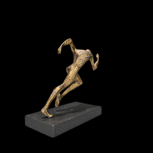 Cargar imagen en el visor de la galería, Reconocimiento - Running