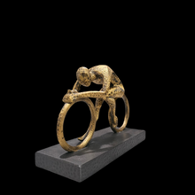 Cargar imagen en el visor de la galería, Reconocimiento - Bicicleta