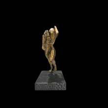 Cargar imagen en el visor de la galería, Reconocimiento - Running