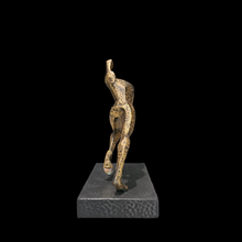 Cargar imagen en el visor de la galería, Reconocimiento - Running