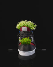 Cargar imagen en el visor de la galería, Macetero - Zapatilla