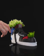 Cargar imagen en el visor de la galería, Macetero - Zapatilla
