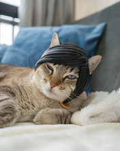 Cargar imagen en el visor de la galería, Flequillo Emo - Disfraz para Gato, gato usando el disfraz