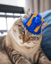 Cargar imagen en el visor de la galería, Gato Faraón - Disfraz para Gato