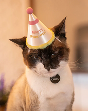 Cargar imagen en el visor de la galería, Gorro de Cumpleaños para Mascota, vista frontal
