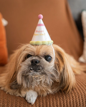 Cargar imagen en el visor de la galería, Gorro de Cumpleaños para Mascota
