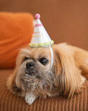 Cargar imagen en el visor de la galería, Gorro de Cumpleaños para Mascota
