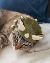 Cargar imagen en el visor de la galería, Corona Jurásica - Disfraz para Gato, gato usando el disfraz
