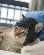 Cargar imagen en el visor de la galería, Flequillo Emo - Disfraz para Gato
