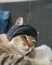 Cargar imagen en el visor de la galería, Flequillo Emo - Disfraz para Gato
