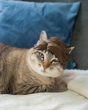 Cargar imagen en el visor de la galería, Cabello de Diva - Disfraz para Gato, gato usando el disfraz
