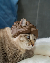 Cargar imagen en el visor de la galería, Cabello de Diva - Disfraz para Gato

