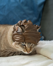 Cargar imagen en el visor de la galería, Cabello de Diva - Disfraz para Gato
