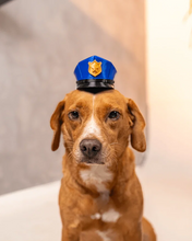 Cargar imagen en el visor de la galería, Officer Woof, perro con gorra de policía, vista frontal
