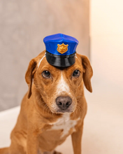 Cargar imagen en el visor de la galería, Officer Woof, perro con gorra de policía, vista frontal

