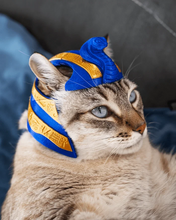 Cargar imagen en el visor de la galería, Gato Faraón - Disfraz para Gato
