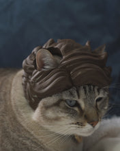 Cargar y reproducir el video en el visor de la galería, Cabello de Diva - Disfraz para Gato
