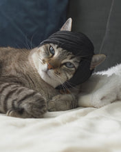 Cargar y reproducir el video en el visor de la galería, Flequillo Emo - Disfraz para Gato
