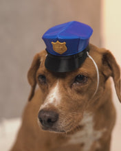 Cargar y reproducir el video en el visor de la galería, Perro Policía – Gorra de Policía para Perro
