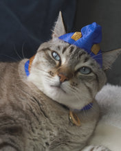 Cargar y reproducir el video en el visor de la galería, Gato Faraón - Disfraz para Gato
