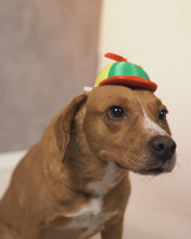 Cargar y reproducir el video en el visor de la galería, Gorrito Yay! - Disfraz para Perro
