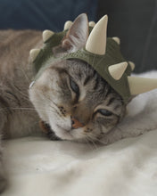 Cargar y reproducir el video en el visor de la galería, Corona Jurásica - Disfraz para Gato
