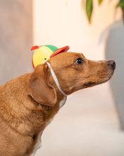Cargar imagen en el visor de la galería, Gorrito Yay!, disfraz para perro

